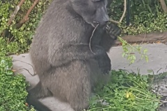 20190605_103920